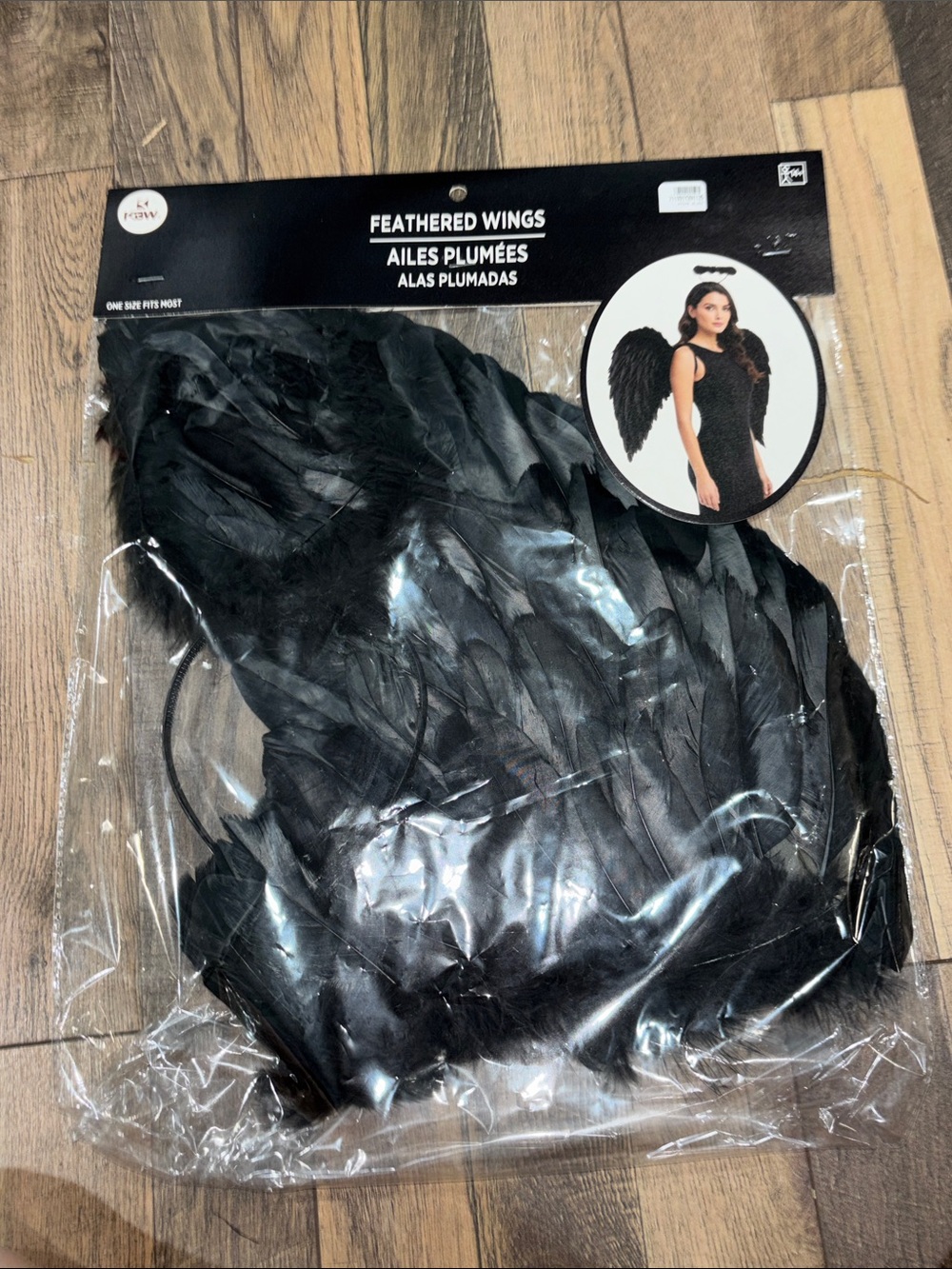 Feathered Wings & Halo Costume Accessory - Black